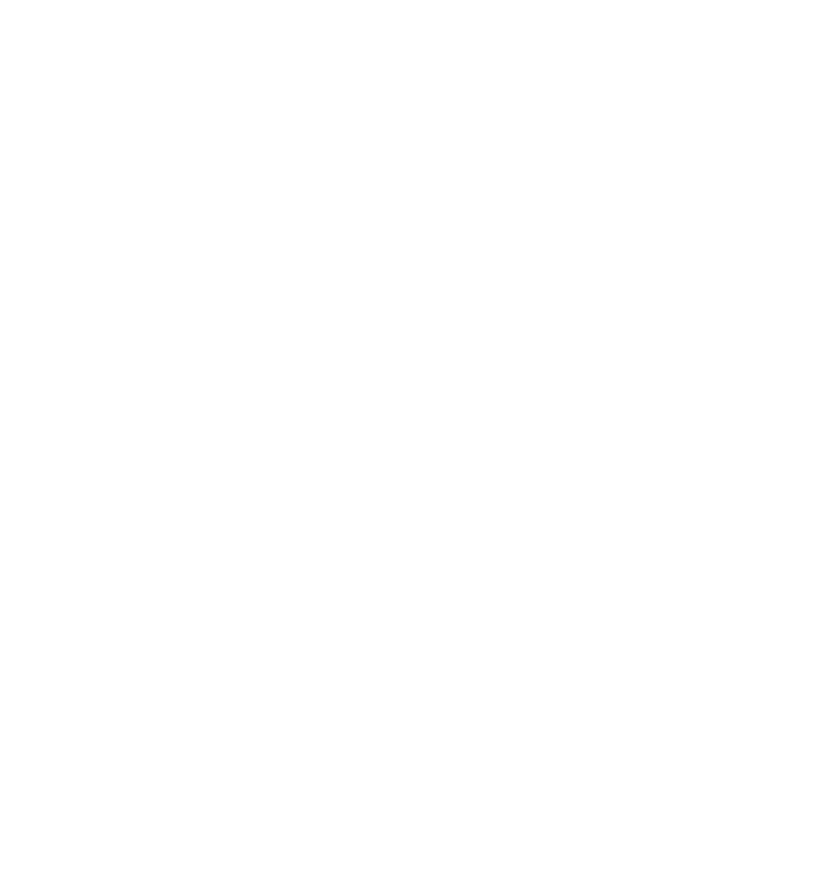 Logo CIRO FISIOTERAPIA